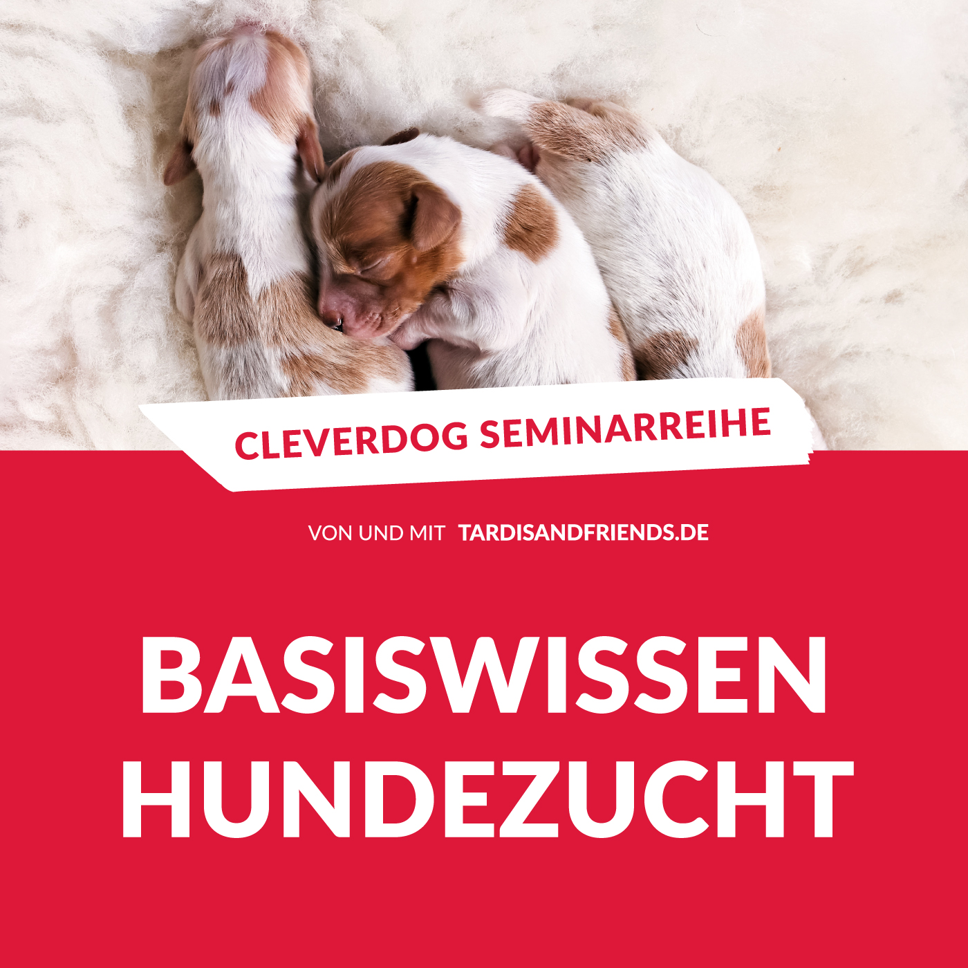 Online-Seminarreihe „Basiswissen Hundezucht“