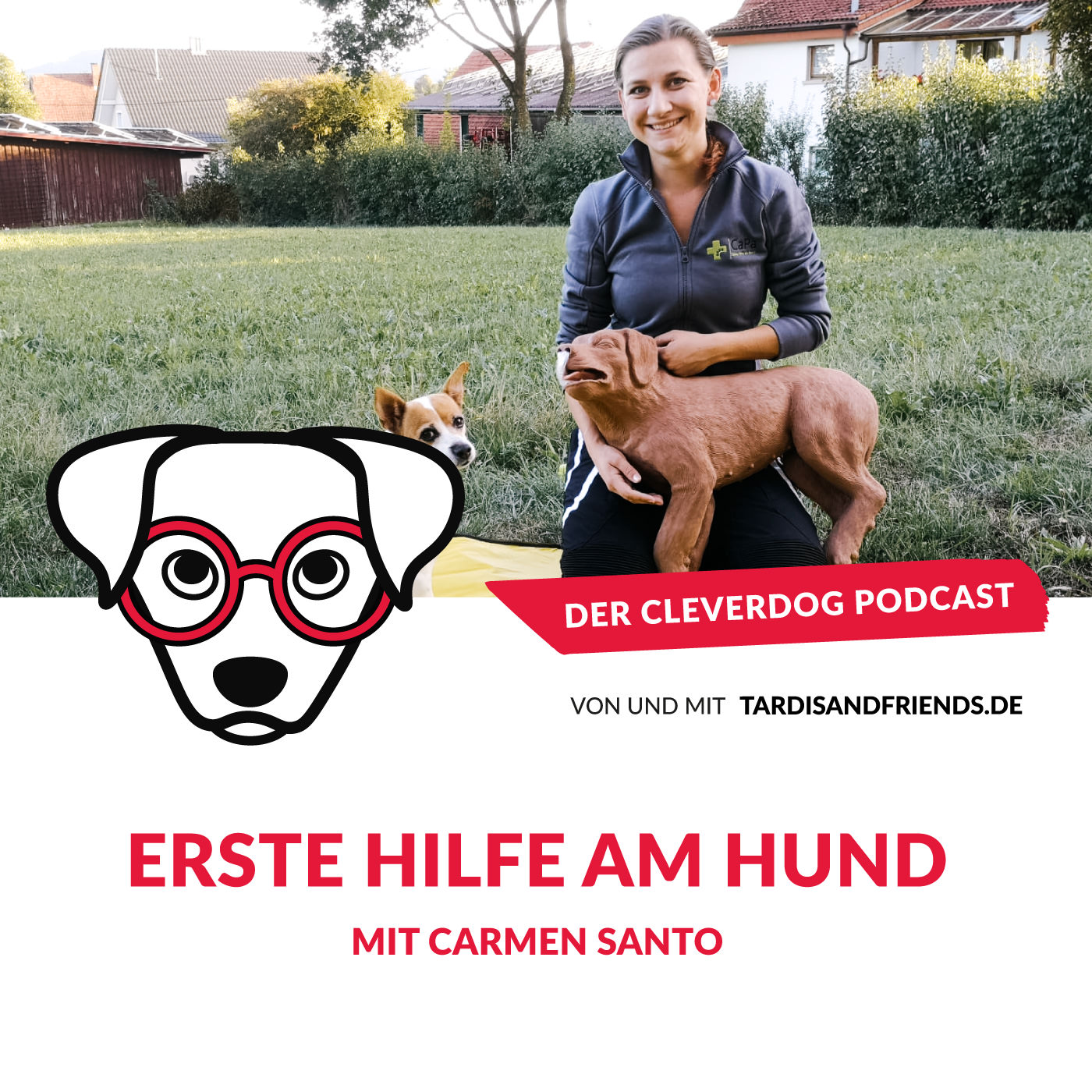 Erste Hilfe am Hund – Mit Carmen Santo
