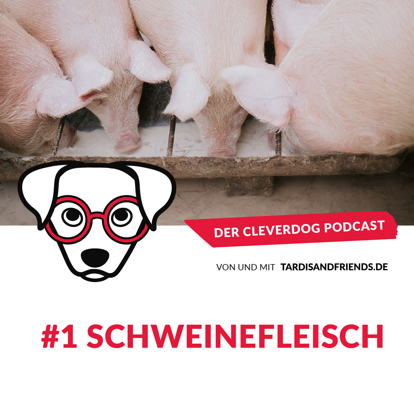 Kein Schweinefleisch für Hunde – Die Aujeszkysche Krankheit