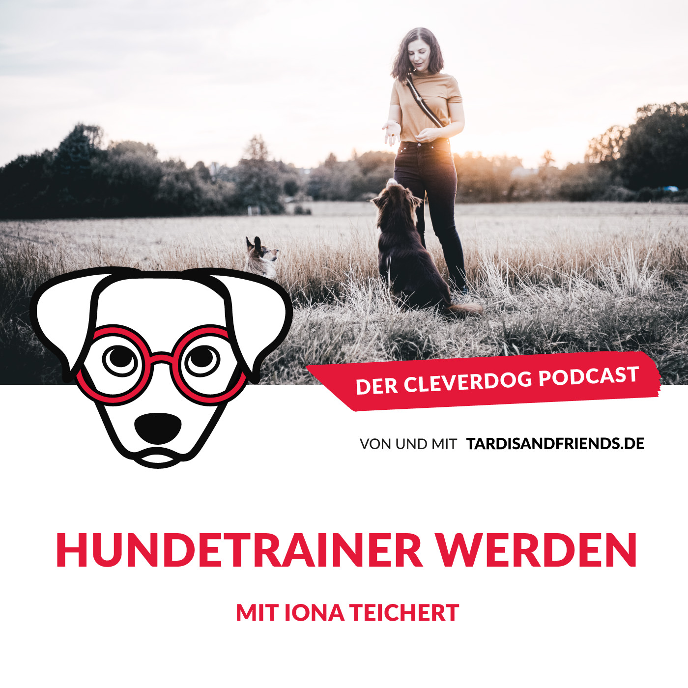 Wie wird man eigentlich Hundetrainerin? – mit Iona Teichert