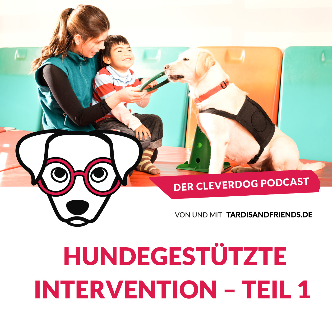 Hundegestützte Intervention Teil 1 – Einführung und Interview mit Claudia Pauliks