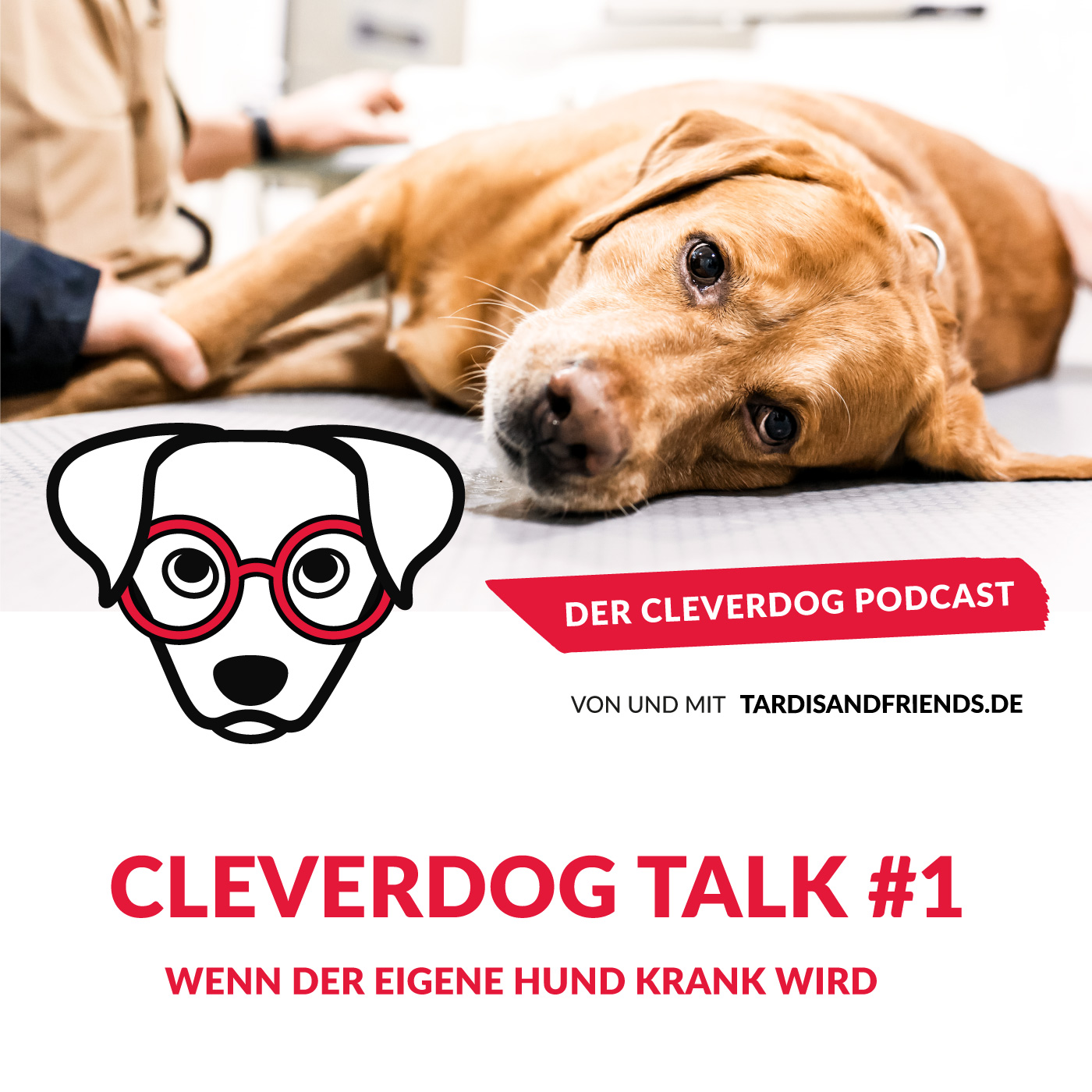 Cleverdog Talk #1 – Wenn der eigene Hund krank wird