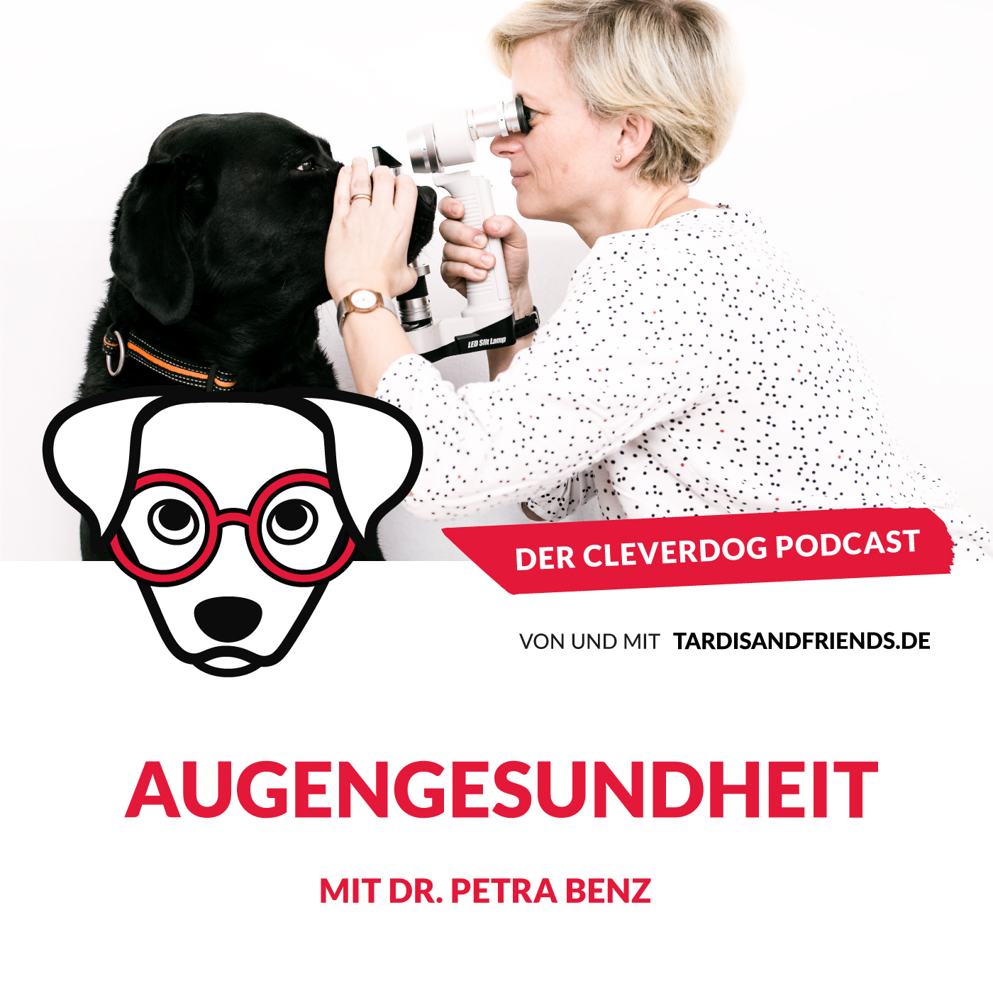 Augengesundheit beim Hund – mit Dr. Petra Benz
