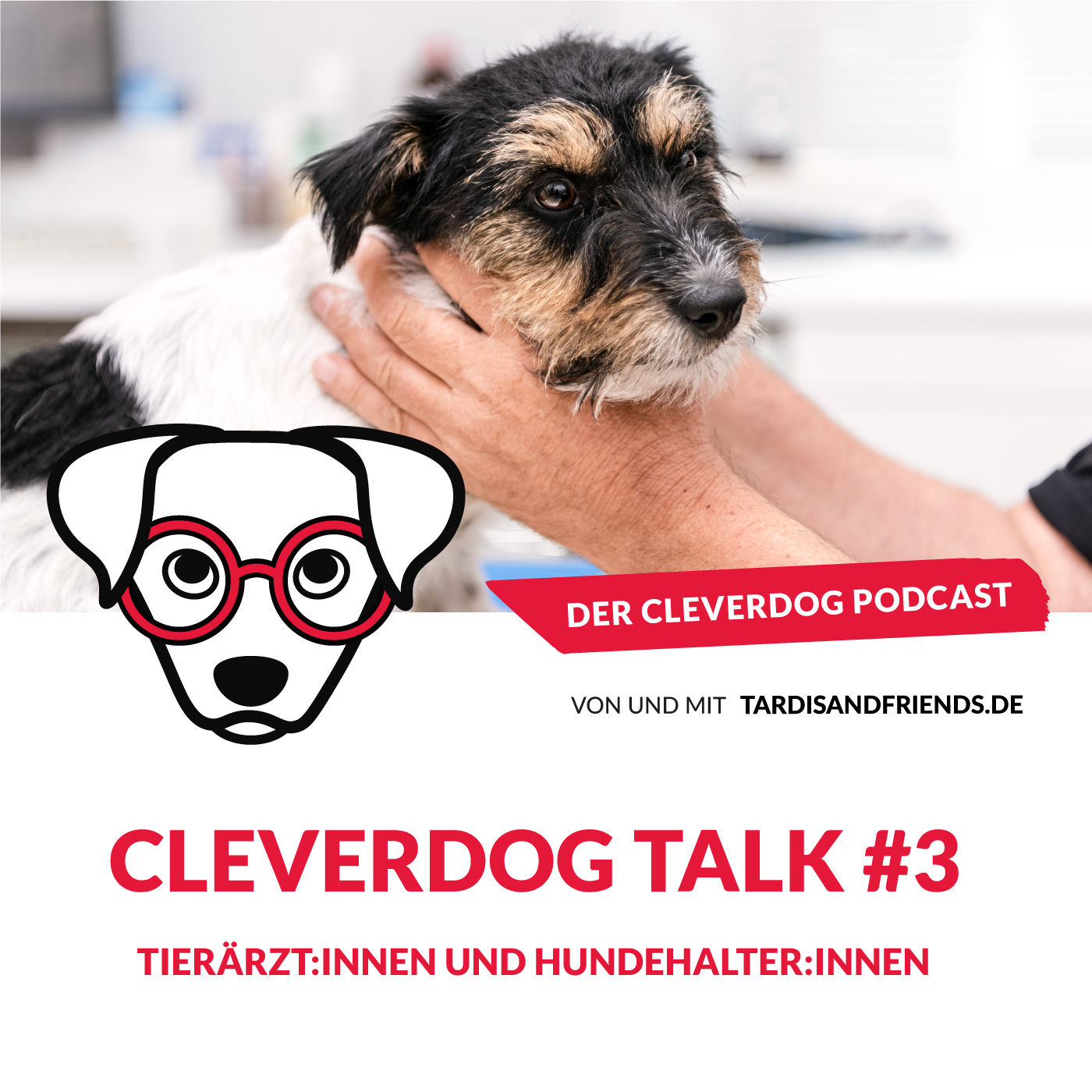 Cleverdog Talk #3 – Tierärzt:innen und Hundehalter:innen