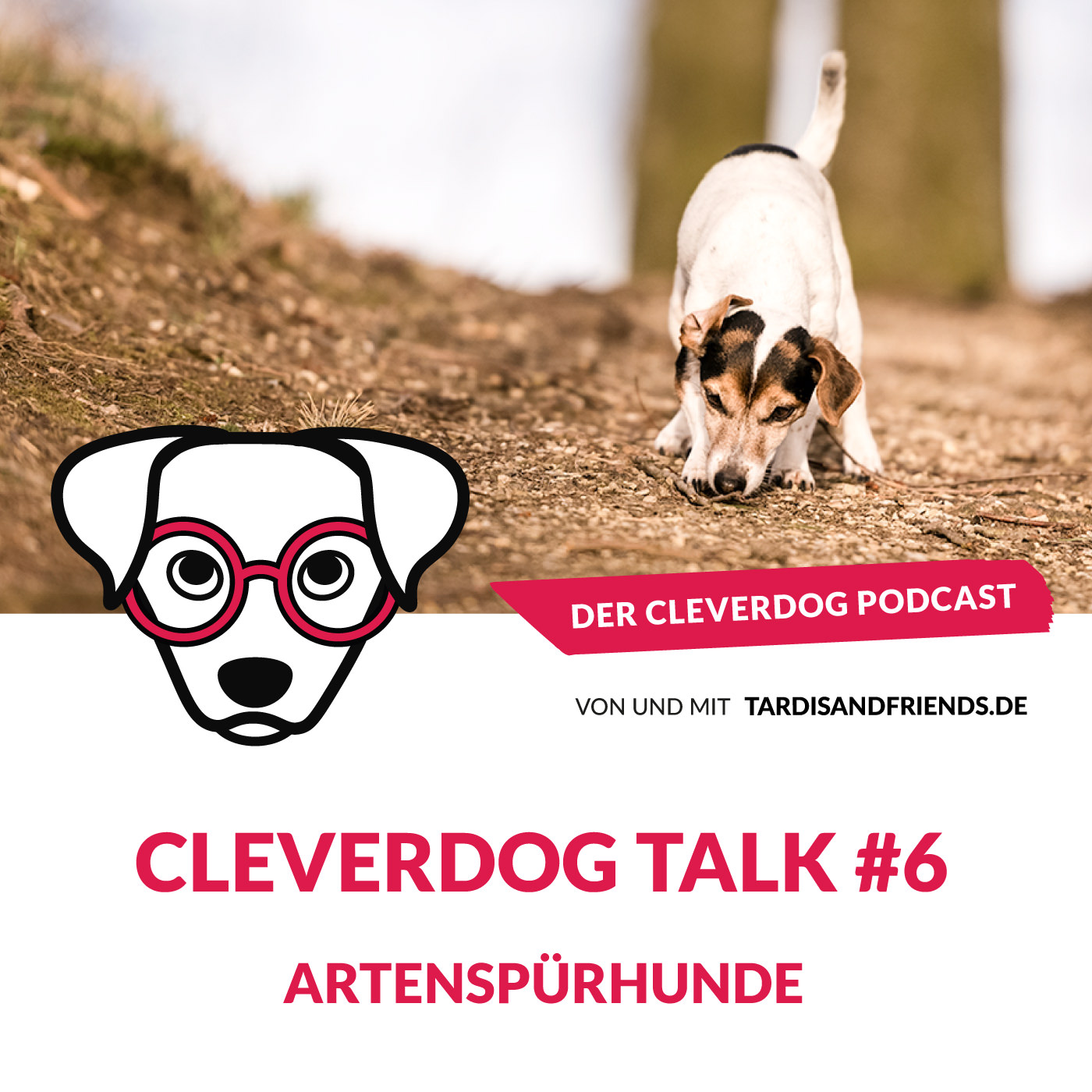 Cleverdog Talk #6 – Artenspürhunde
