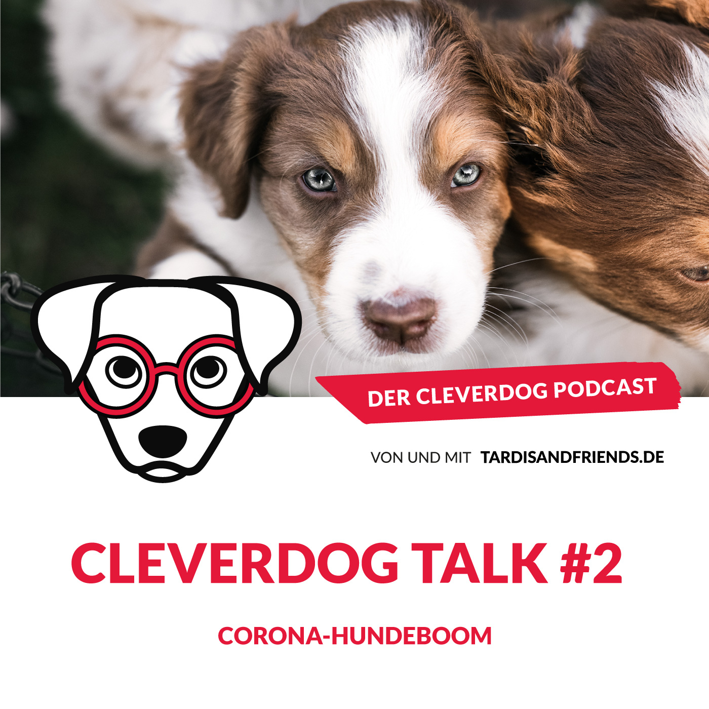 Cleverdog Talk #2 – Der Corona-Hundeboom