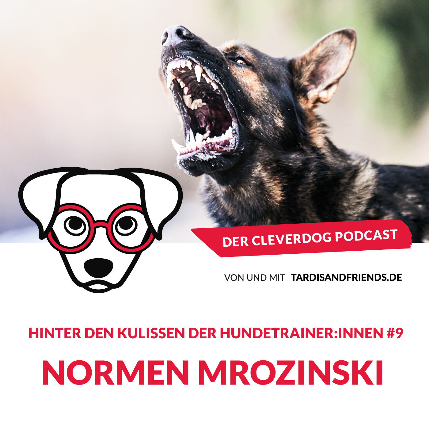 Normen Mrozinski – Hinter den Kulissen der Hundetrainer:innen #9