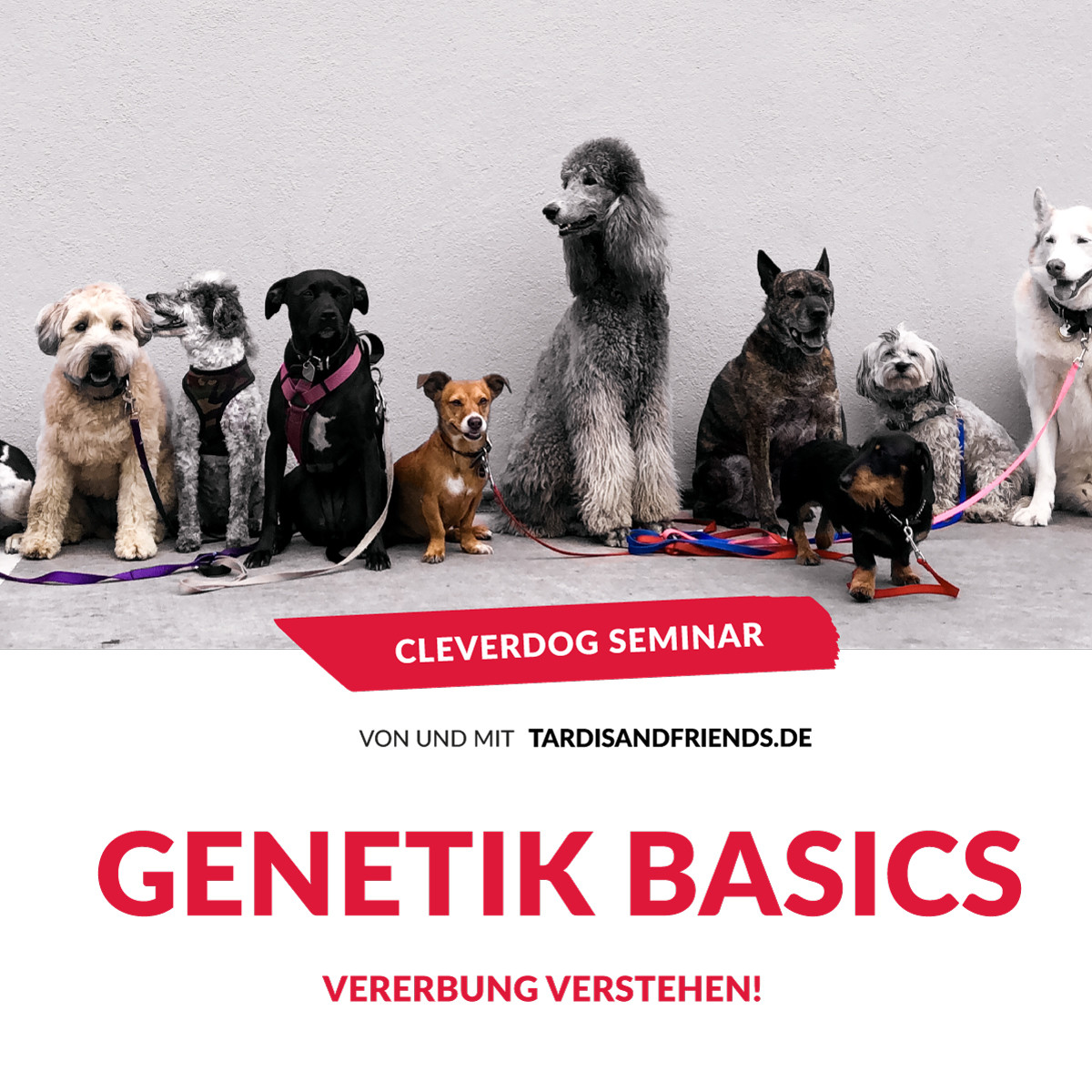 Cover-seminar-2-genetik.jpg